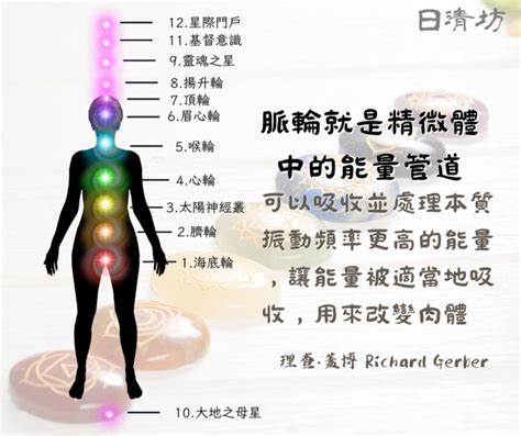 頂輪位置|深入解析七脈輪：如何有效平衡脈輪？平衡脈輪的5大好處